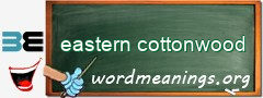 WordMeaning blackboard for eastern cottonwood